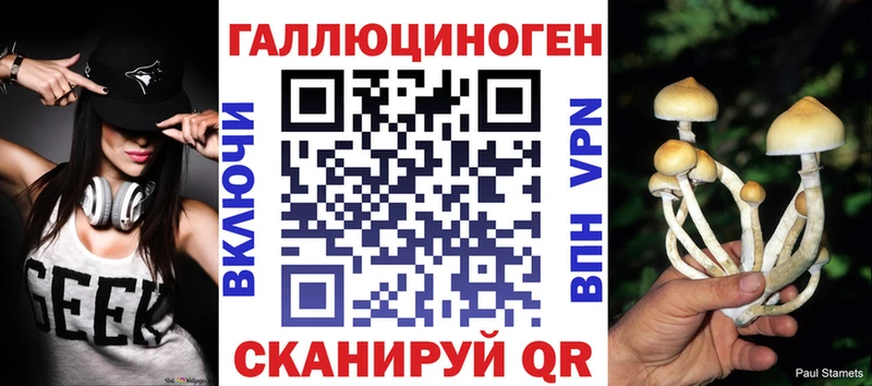 Купить закладки  Владивосток  Псилоцибиновые грибы мухоморы 